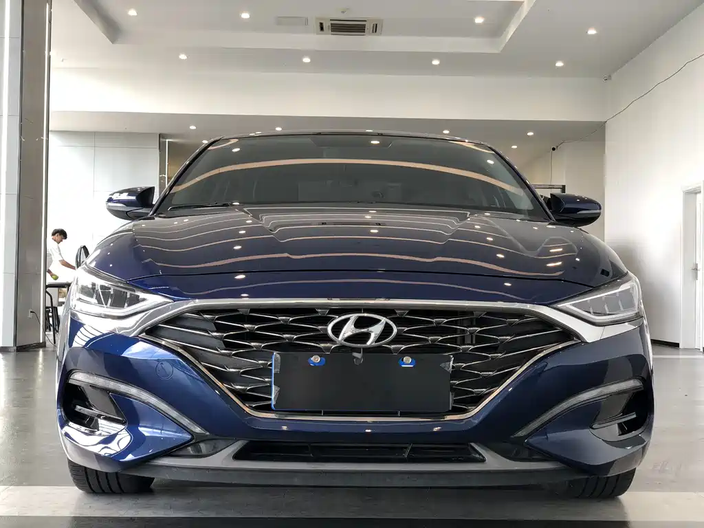 Hyundai Fista — миниатюра 2