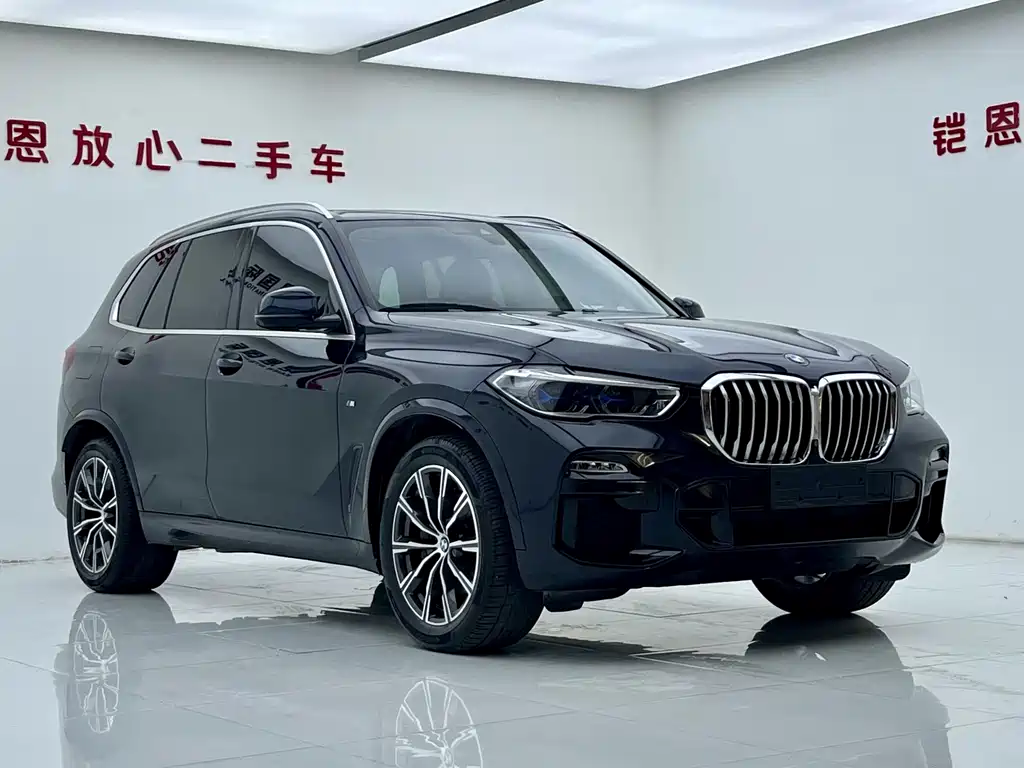 BMW X5 (Import) — миниатюра 3