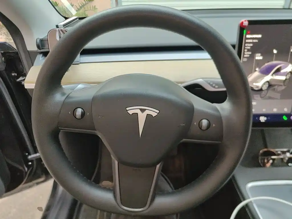 Tesla Model Y — миниатюра 6