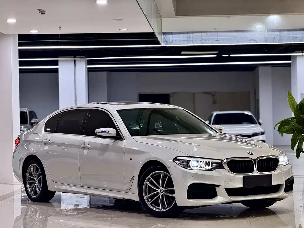 BMW 5 Series — миниатюра 3