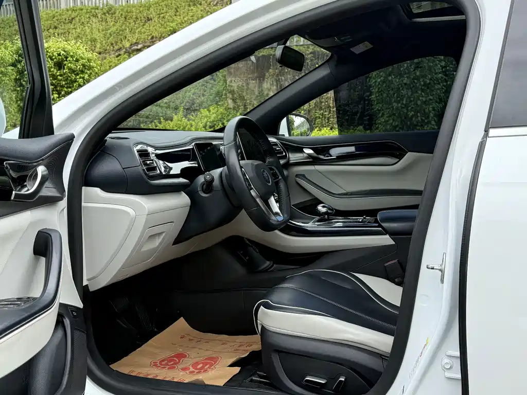 BYD Qin PLUS — миниатюра 3