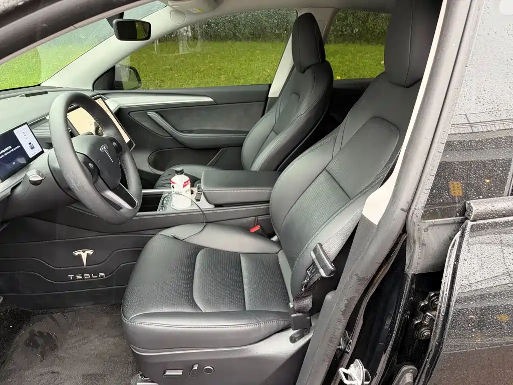 Tesla Model Y — миниатюра 8