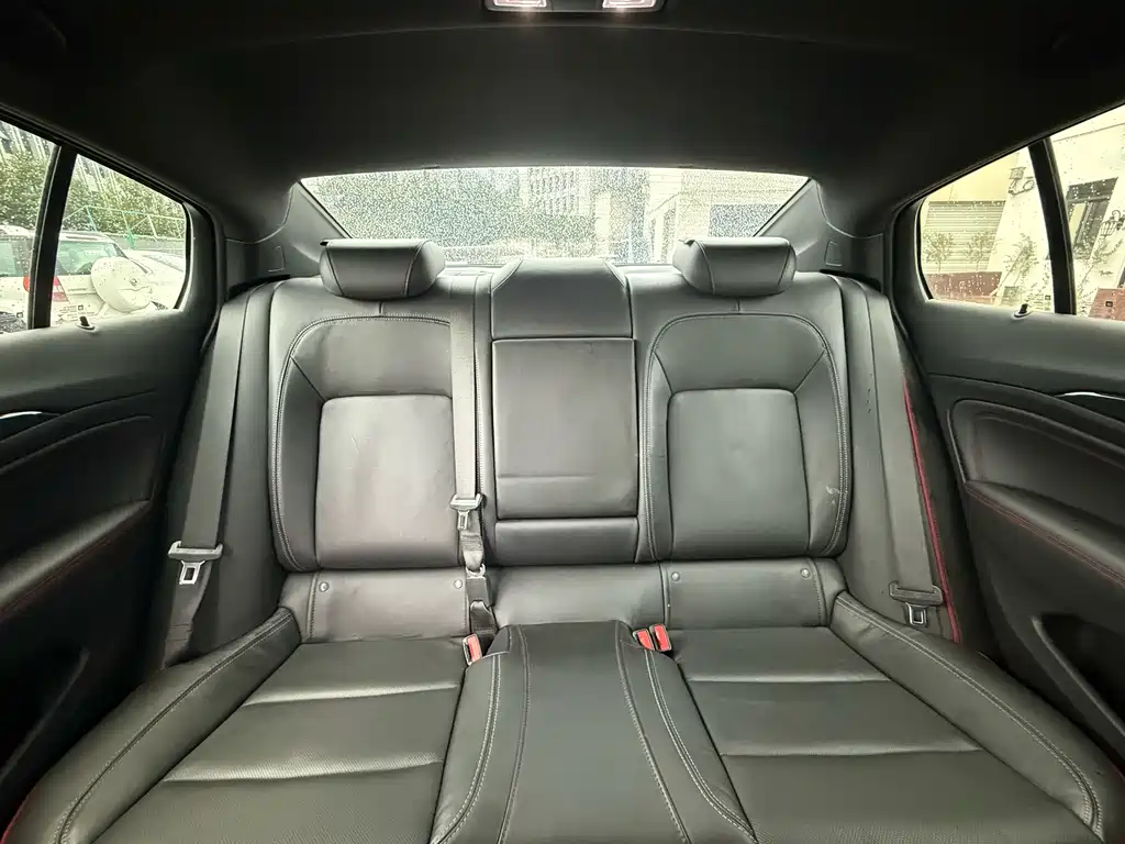 Buick Regal — миниатюра 18