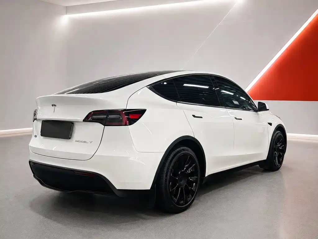 Tesla Model Y — миниатюра 4
