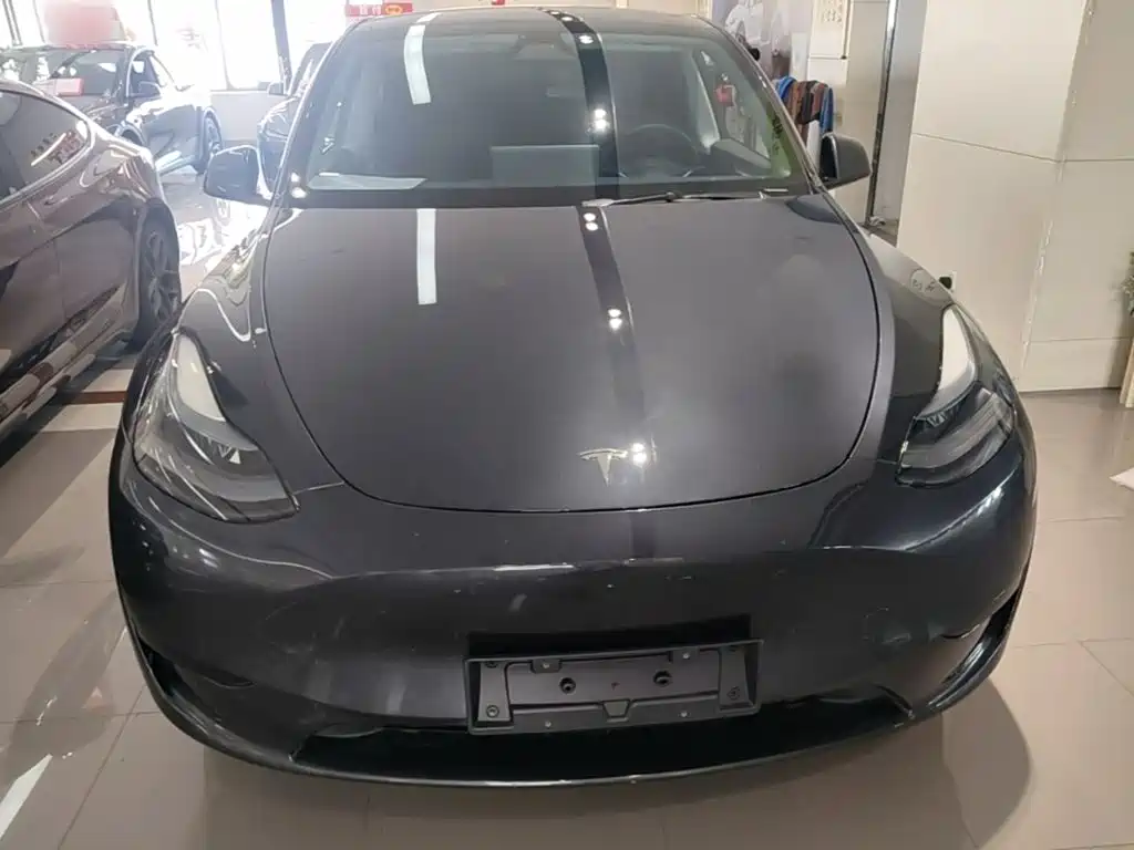 Tesla Model Y — миниатюра 3