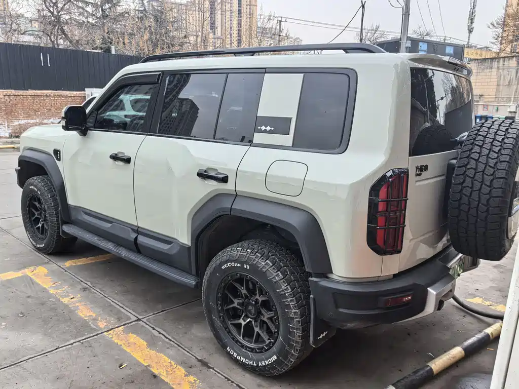 FANG CHENG BAO LEOPARD 5