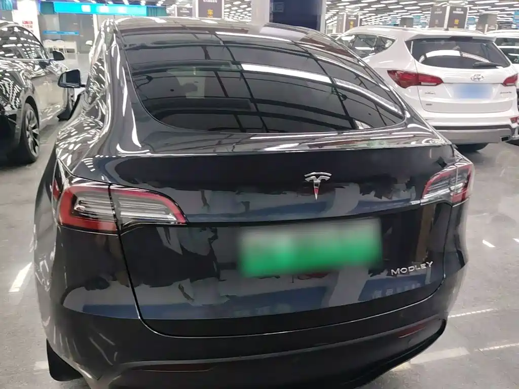 Tesla Model Y — миниатюра 6