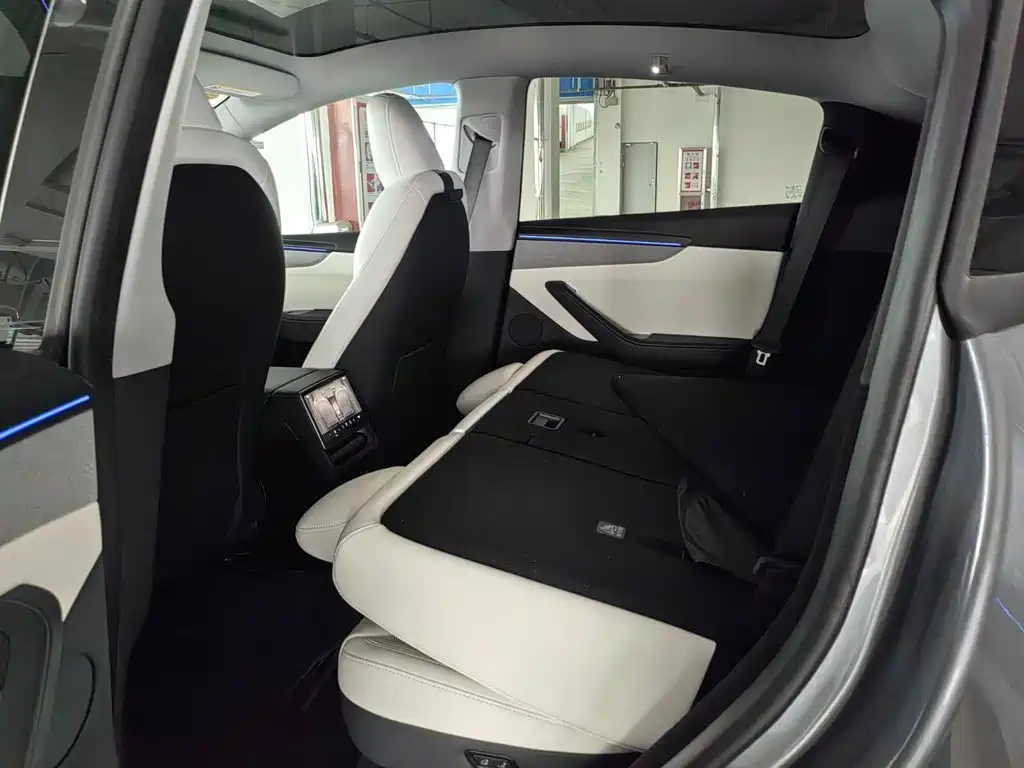 Tesla Model Y — миниатюра 9