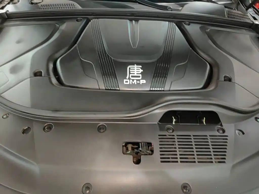 BYD Tang New Energy — миниатюра 20
