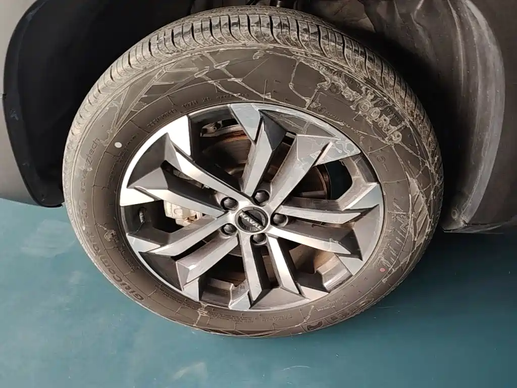 Haval Big Dog — миниатюра 23