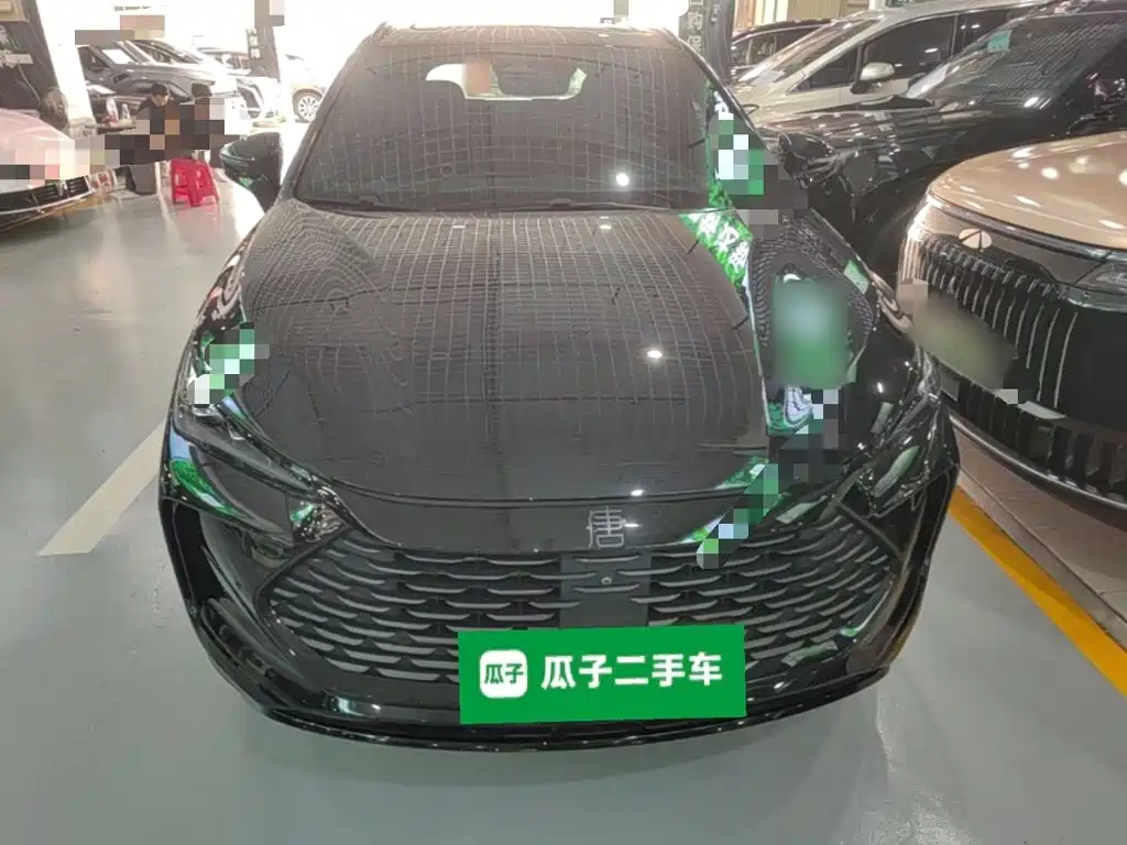 BYD Tang New Energy — миниатюра 3