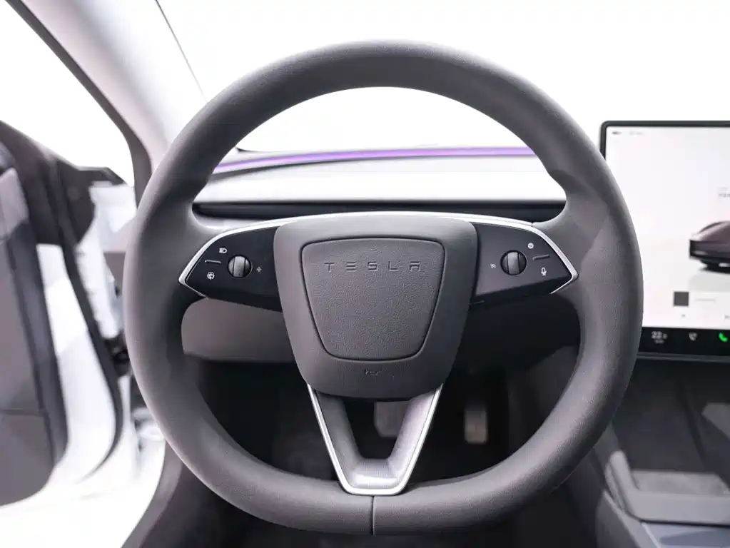 Tesla Model 3 — миниатюра 19
