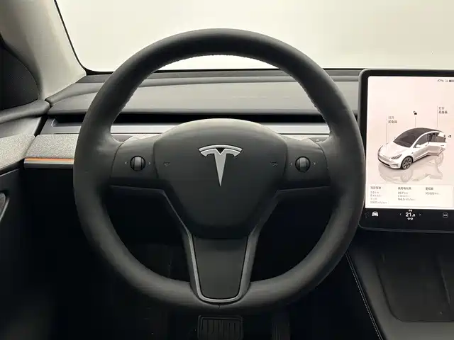 Tesla Model Y — миниатюра 11