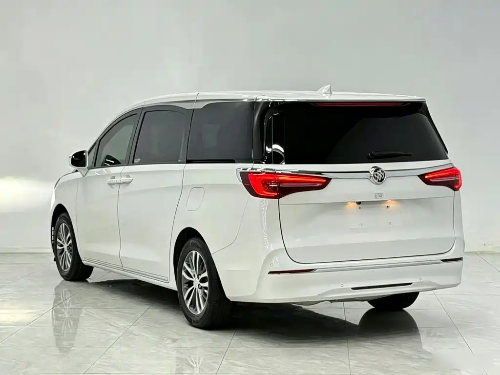 Buick GL8 — миниатюра 5