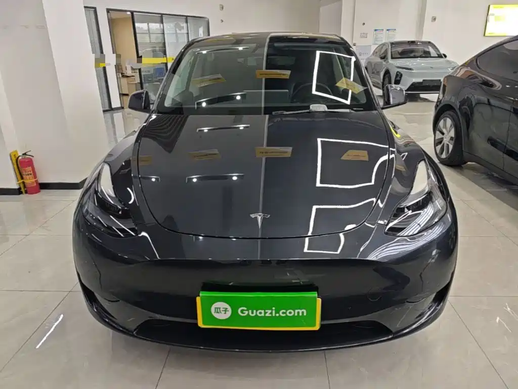 Tesla Model Y — миниатюра 3