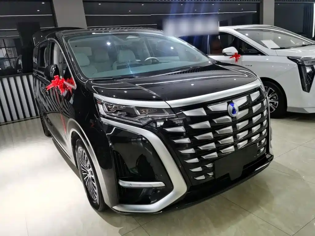 Denza Denza D9 — миниатюра 4