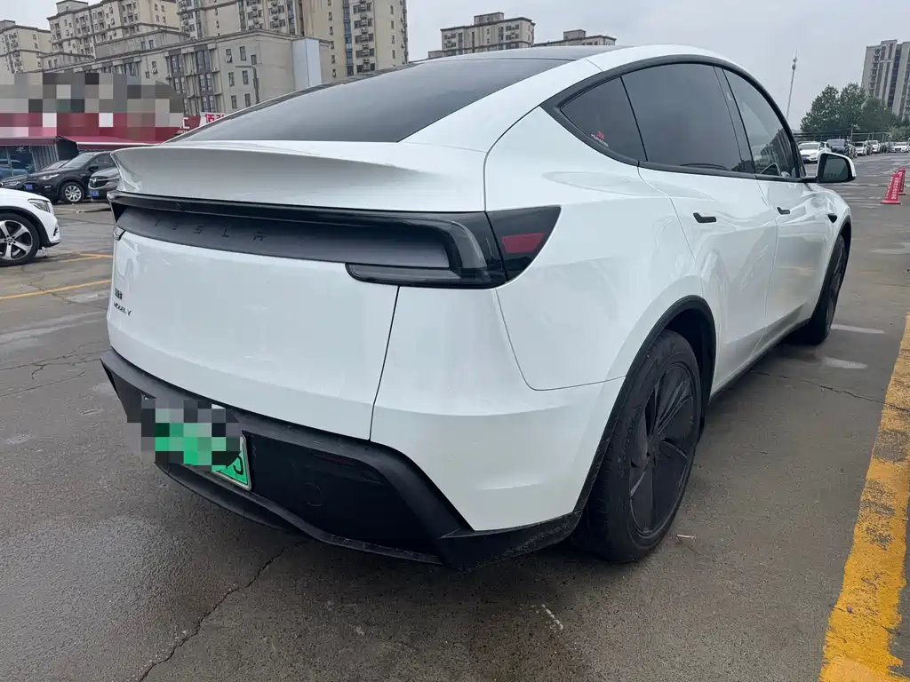Tesla Model Y — миниатюра 9