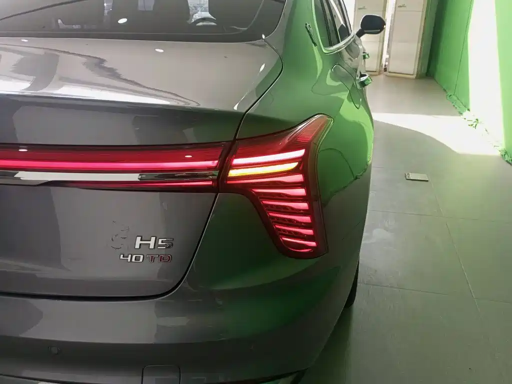 Hongqi Hongqi H5 — миниатюра 24