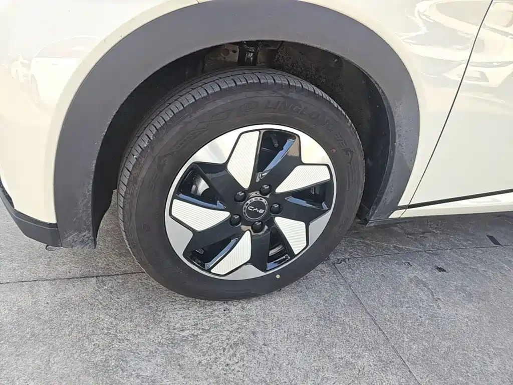 BYD Dolphin — миниатюра 23