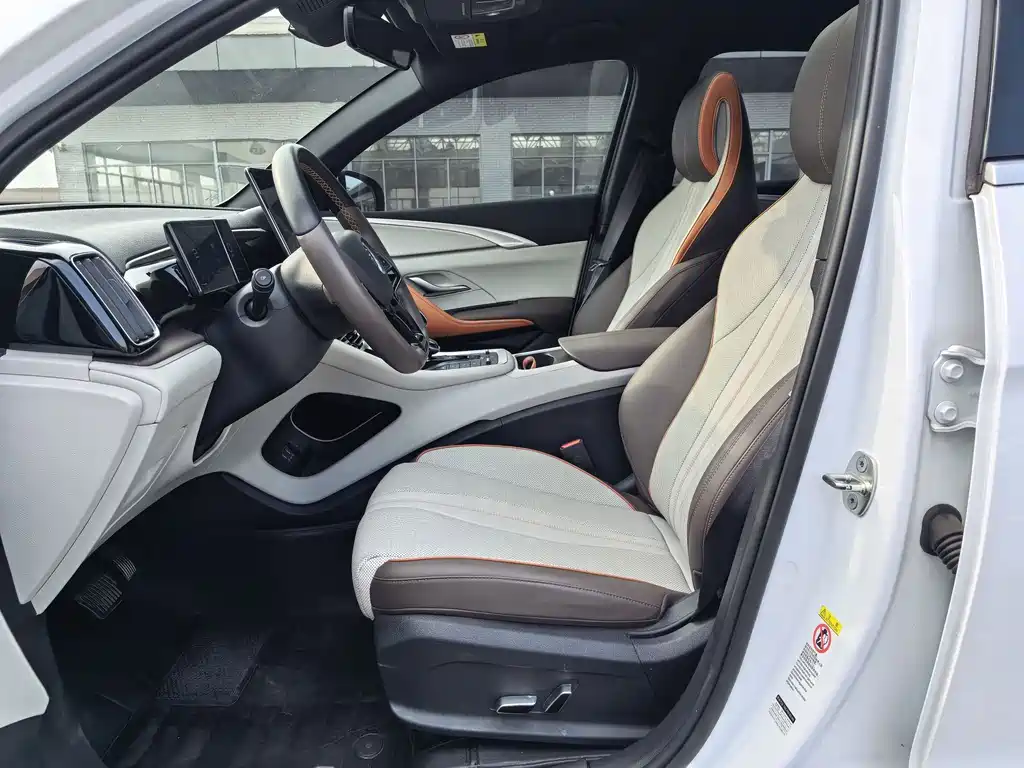 BYD Pro New Energy — миниатюра 10