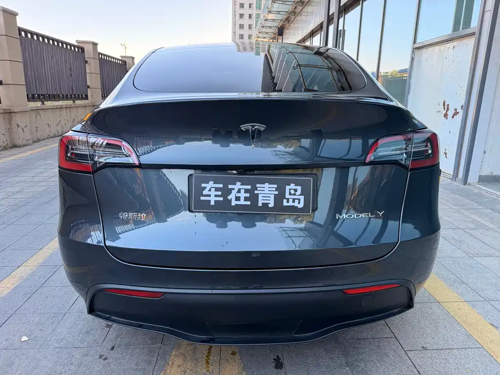 Tesla Model Y — миниатюра 12