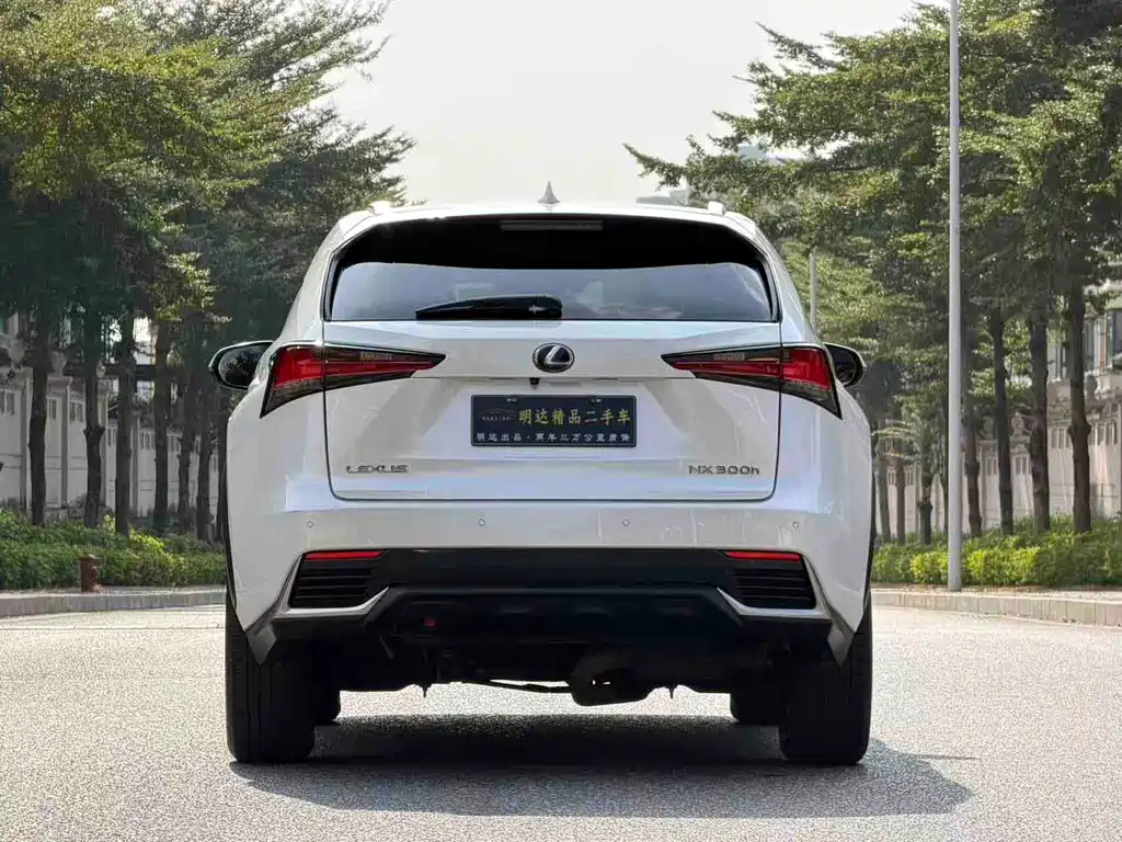 Lexus NX — миниатюра 6