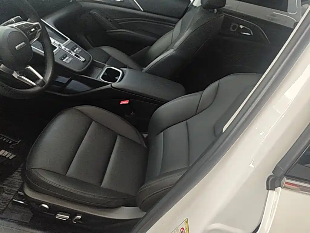 Haval Xiaolong MAX — миниатюра 15
