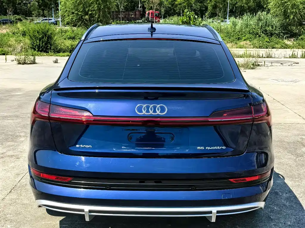 Audi e-tron 2021 50 quattro Luxury