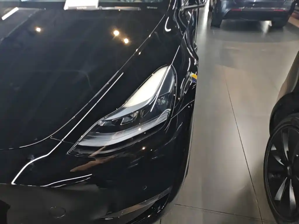 Tesla Model Y — миниатюра 24