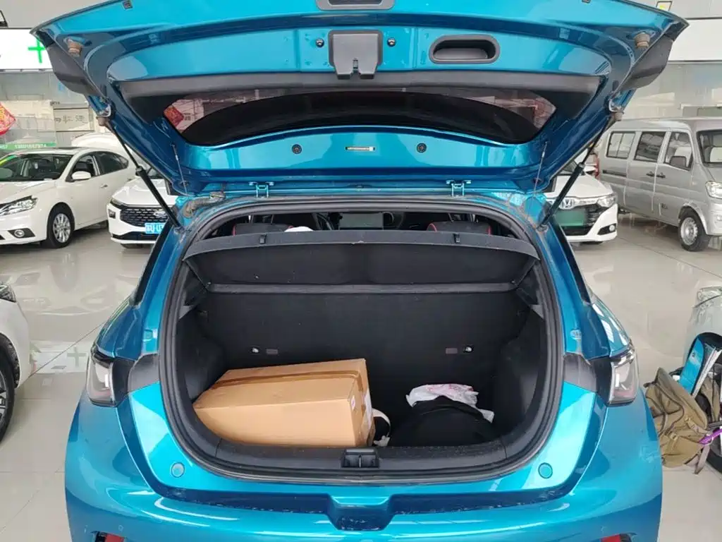 BYD Dolphin — миниатюра 19