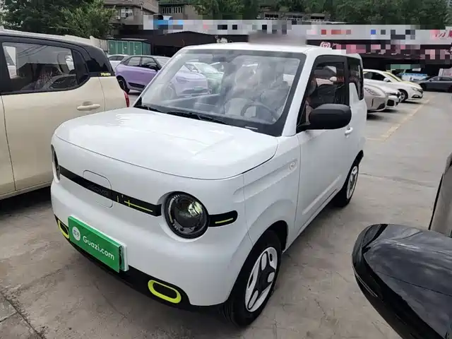2026 Geely LC (Panda)