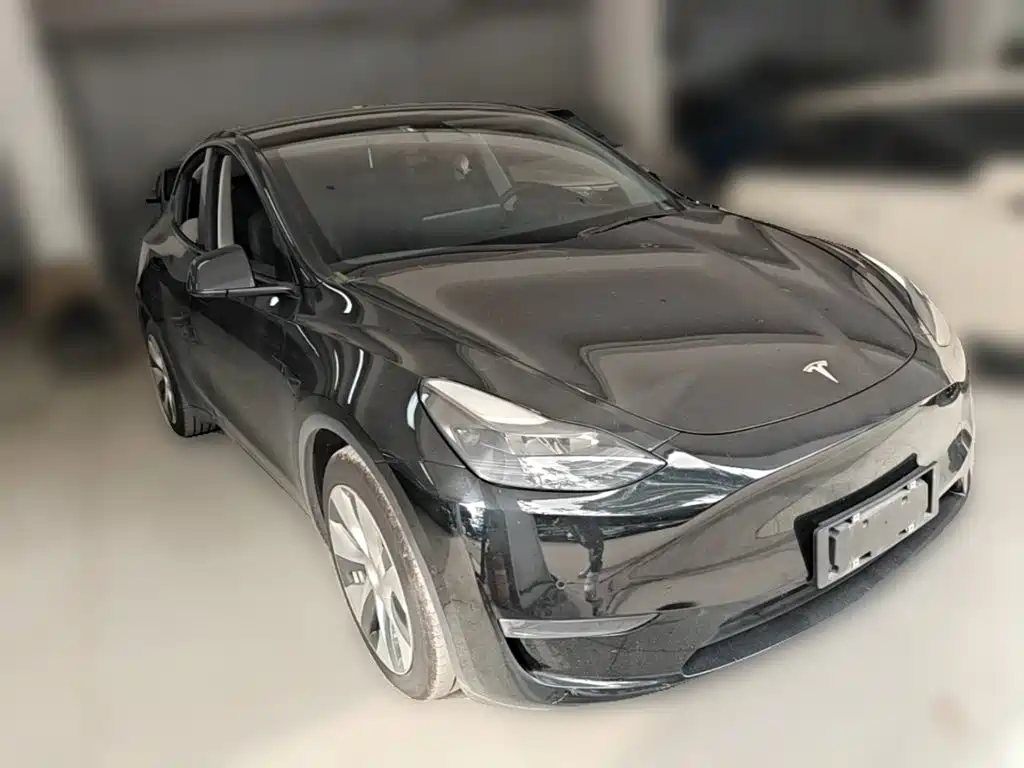 Tesla Model Y — миниатюра 6