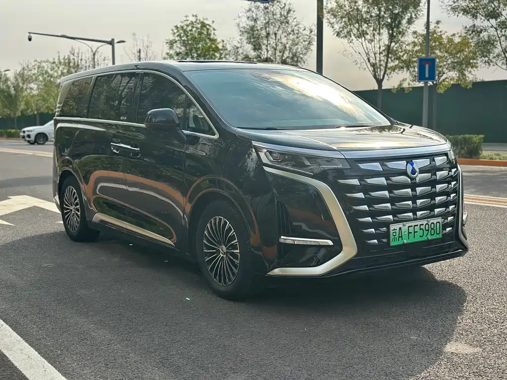 Denza Denza D9 — миниатюра 3