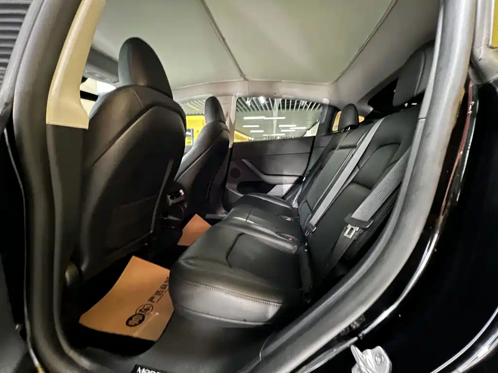 Tesla Model Y — миниатюра 10