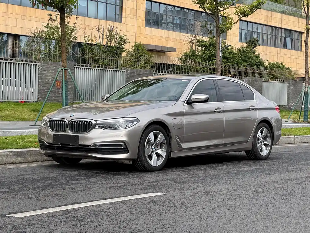 BMW 5 Series 5 2020 530Le Luxury