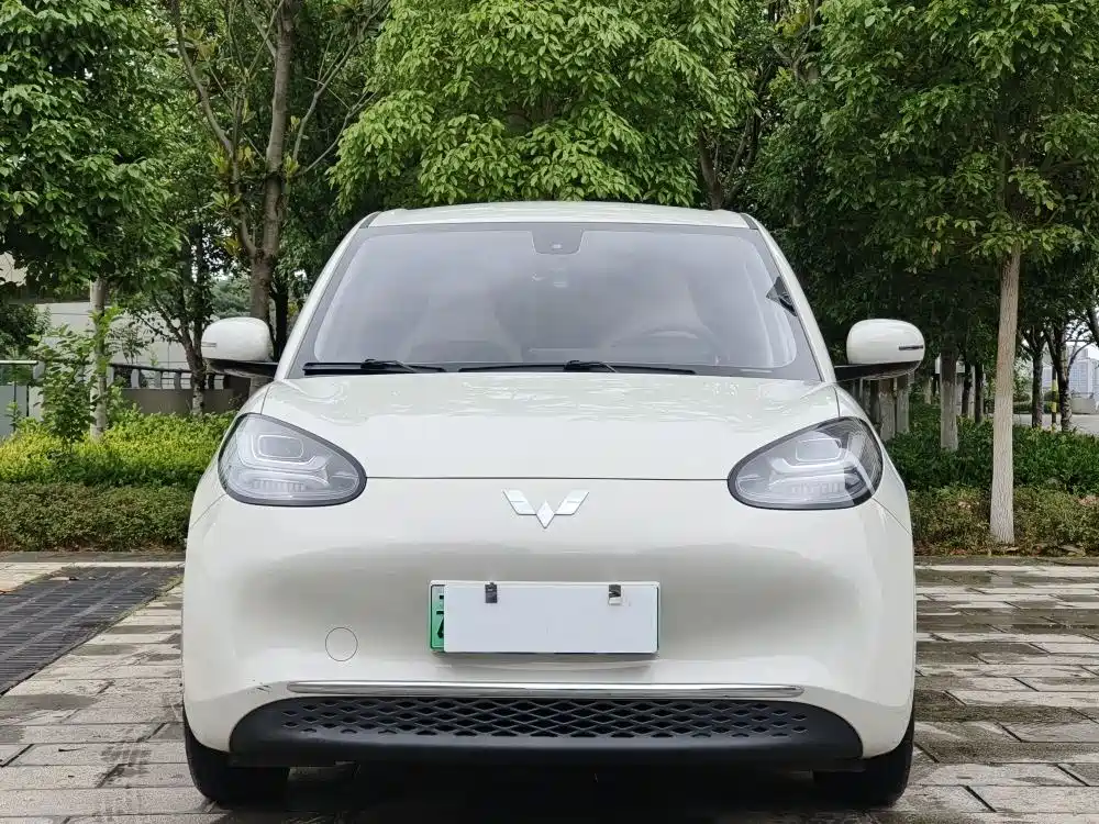 Wuling Binguo 2023 333km Enjoy