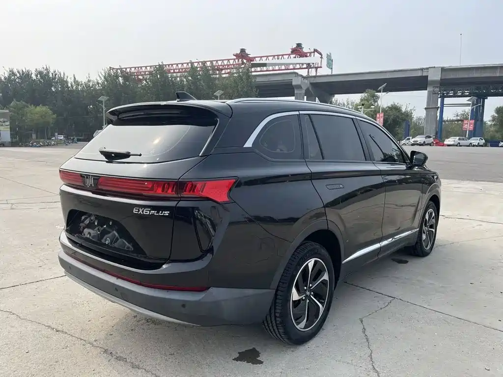 WM Motor EX6 — миниатюра 5
