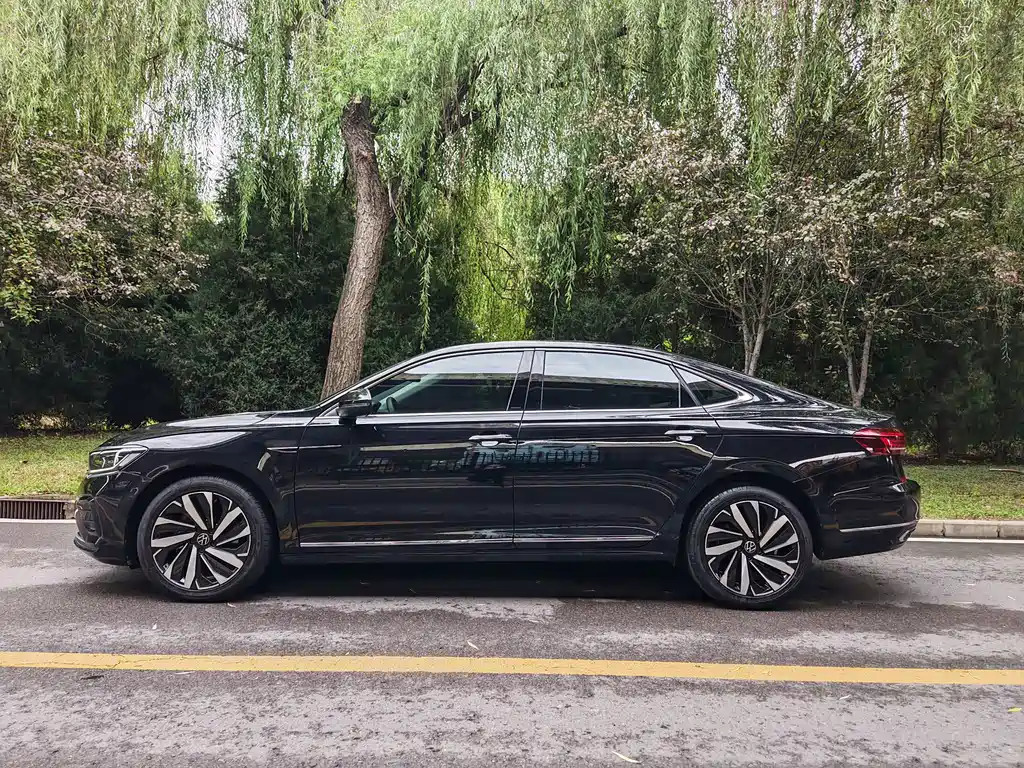 Volkswagen Passat — миниатюра 10