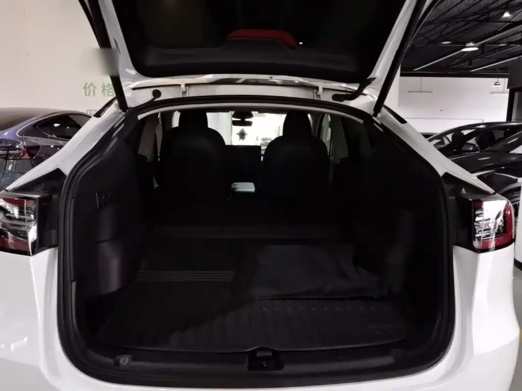 Tesla Model Y — миниатюра 19