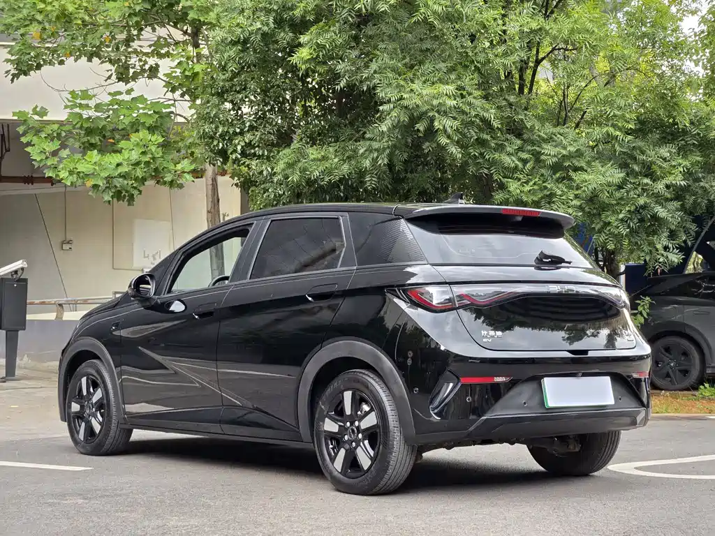 BYD Dolphin — миниатюра 4