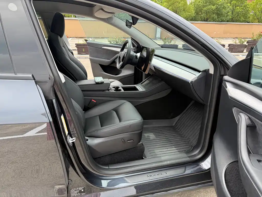Tesla Model Y — миниатюра 20