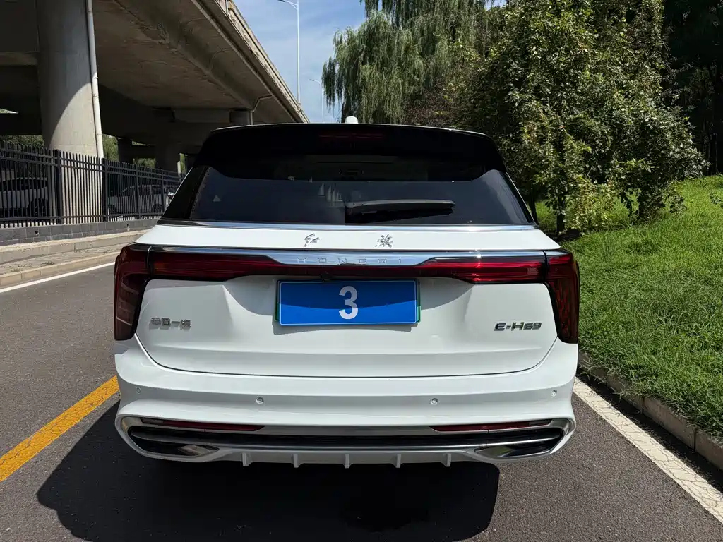 Hongqi Hongqi E-HS9 — миниатюра 10