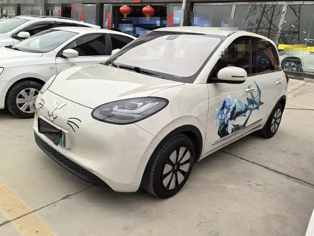 WULING WULING BINGGUO 2024