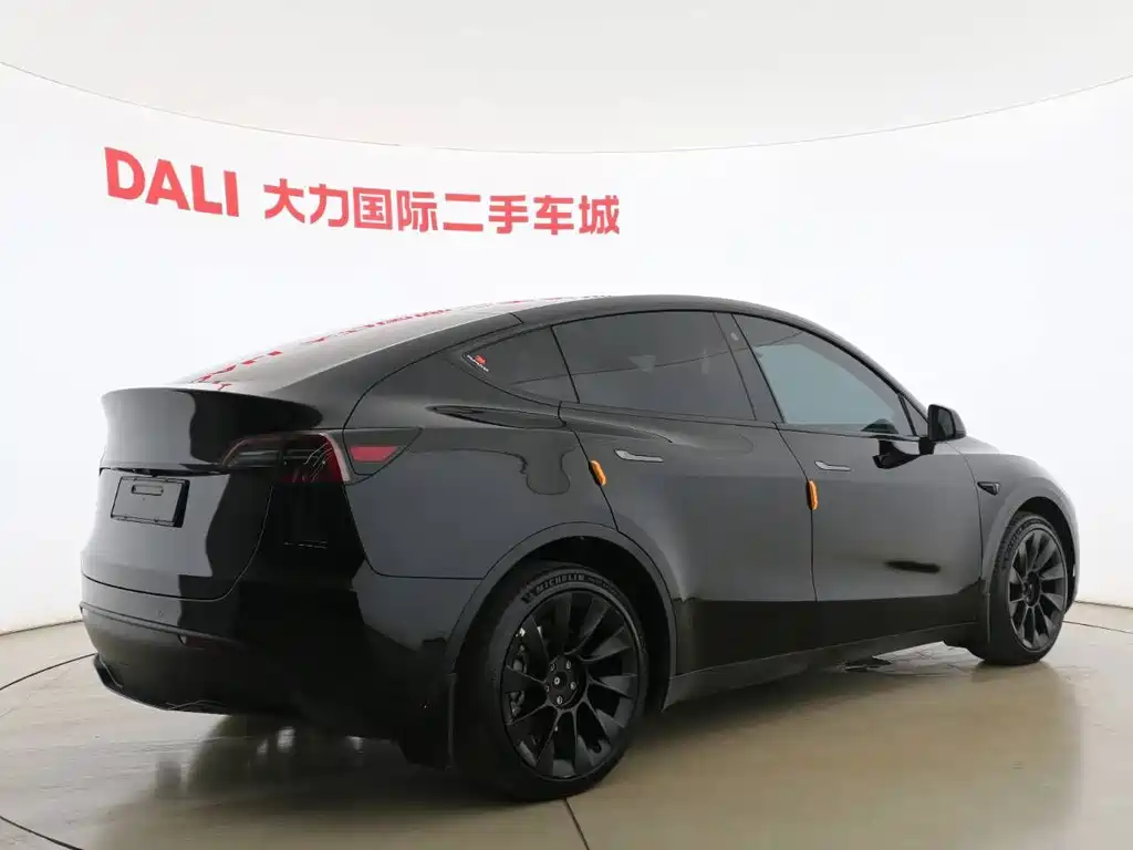 Tesla Model Y — миниатюра 5