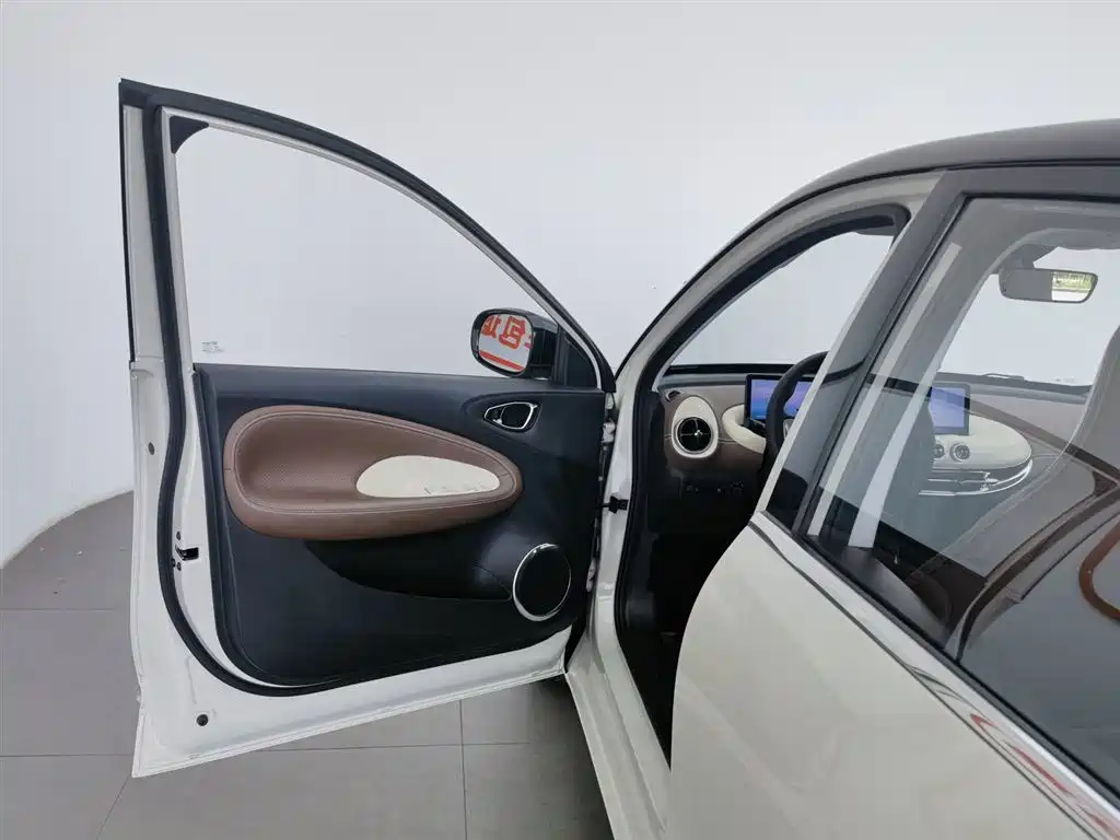 Wuling Binguo 2023 333km +