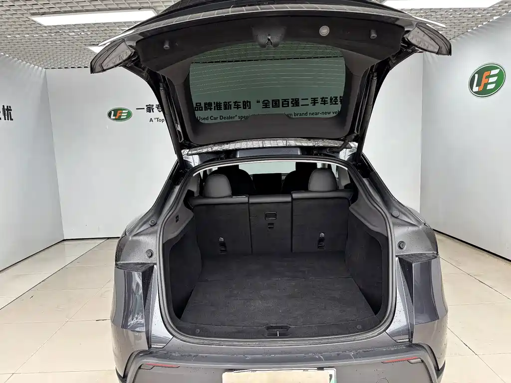 Tesla Model Y — миниатюра 27