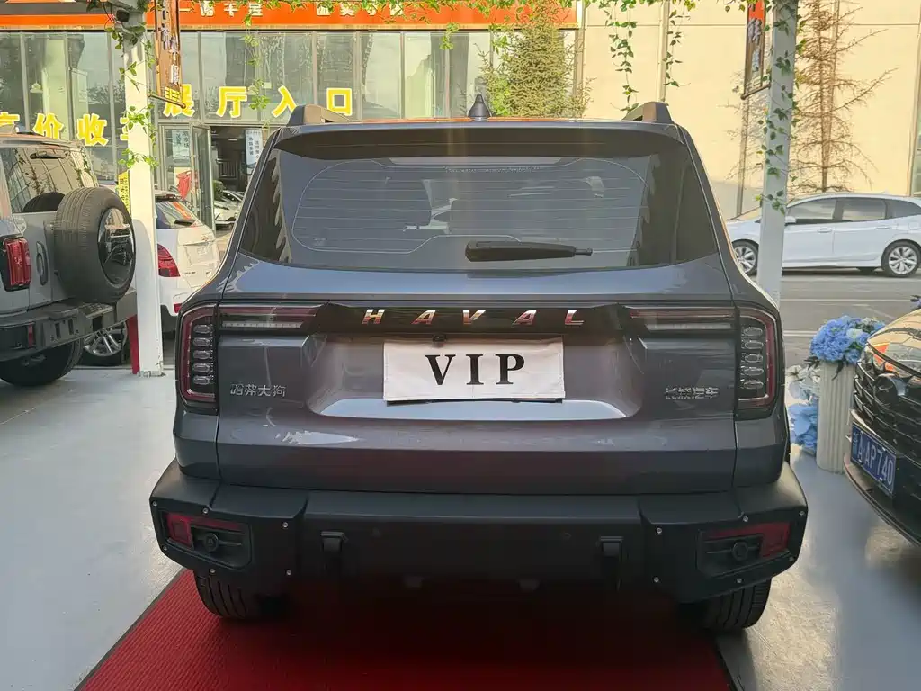 Haval Big Dog — миниатюра 11