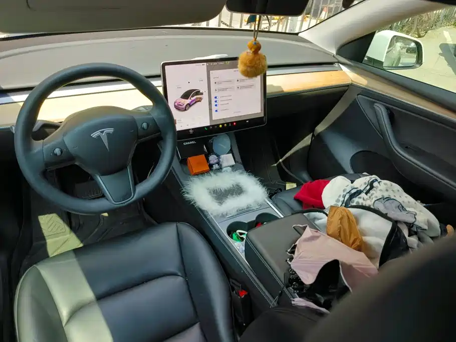 Tesla Model Y — миниатюра 12