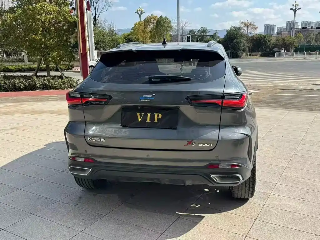 CHANGAN CHANGAN AUCHAN X5