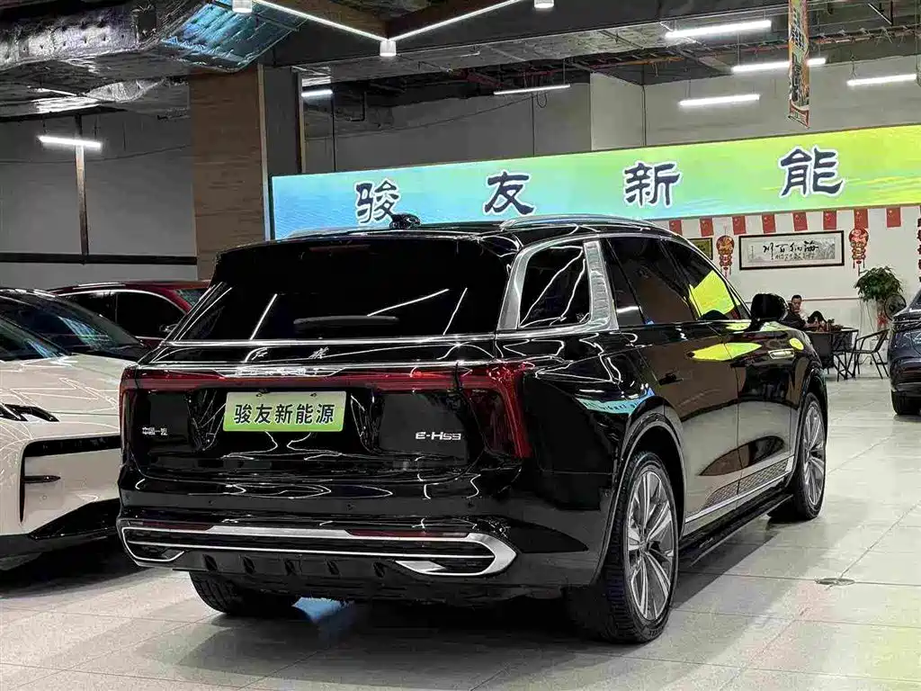 Hongqi Hongqi E-HS9 — миниатюра 2